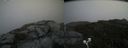 ./images/calvert/buxton2/20200827/buxton220200827_132002M.jpg