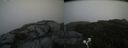 ./images/calvert/buxton2/20200827/buxton220200827_132503M.jpg