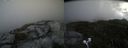 ./images/calvert/buxton2/20200827/buxton220200827_140503M.jpg