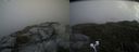 ./images/calvert/buxton2/20200827/buxton220200827_141003M.jpg