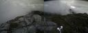 ./images/calvert/buxton2/20200827/buxton220200827_144002M.jpg