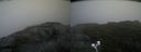 ./images/calvert/buxton2/20200828/buxton220200828_080502M.jpg