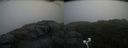 ./images/calvert/buxton2/20200828/buxton220200828_081002M.jpg