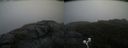./images/calvert/buxton2/20200828/buxton220200828_084502M.jpg