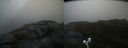 ./images/calvert/buxton2/20200828/buxton220200828_092002M.jpg