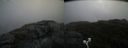 ./images/calvert/buxton2/20200828/buxton220200828_092503M.jpg