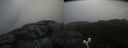 ./images/calvert/buxton2/20200828/buxton220200828_100503M.jpg