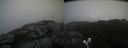 ./images/calvert/buxton2/20200828/buxton220200828_110502M.jpg