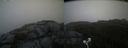 ./images/calvert/buxton2/20200828/buxton220200828_121002M.jpg