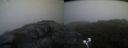 ./images/calvert/buxton2/20200829/buxton220200829_064002M.jpg