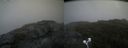 ./images/calvert/buxton2/20200829/buxton220200829_090502M.jpg