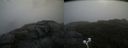 ./images/calvert/buxton2/20200829/buxton220200829_093502M.jpg
