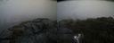 ./images/calvert/buxton2/20200831/buxton220200831_142503M.jpg