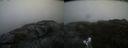 ./images/calvert/buxton2/20200831/buxton220200831_143503M.jpg