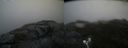 ./images/calvert/buxton2/20200831/buxton220200831_151003M.jpg