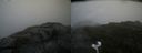 ./images/calvert/buxton2/20200831/buxton220200831_162502M.jpg