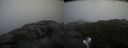 ./images/calvert/buxton2/20200831/buxton220200831_165502M.jpg