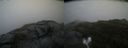 ./images/calvert/buxton2/20200831/buxton220200831_170502M.jpg