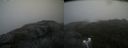 ./images/calvert/buxton2/20200831/buxton220200831_181003M.jpg