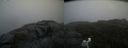 ./images/calvert/buxton2/20200831/buxton220200831_185002M.jpg