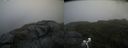 ./images/calvert/buxton2/20200831/buxton220200831_190502M.jpg