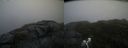 ./images/calvert/buxton2/20200831/buxton220200831_191002M.jpg
