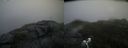 ./images/calvert/buxton2/20200831/buxton220200831_191502M.jpg