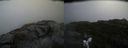 ./images/calvert/buxton2/20200901/buxton220200901_111003M.jpg