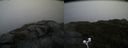 ./images/calvert/buxton2/20200901/buxton220200901_114503M.jpg