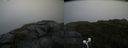 ./images/calvert/buxton2/20200901/buxton220200901_130502M.jpg