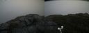 ./images/calvert/buxton2/20200901/buxton220200901_131002M.jpg