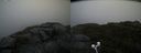 ./images/calvert/buxton2/20200901/buxton220200901_140003M.jpg