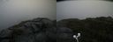 ./images/calvert/buxton2/20200901/buxton220200901_140503M.jpg