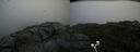 ./images/calvert/buxton2/20200901/buxton220200901_141003M.jpg
