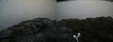 ./images/calvert/buxton2/20200901/buxton220200901_144003M.jpg