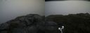 ./images/calvert/buxton2/20200901/buxton220200901_144503M.jpg