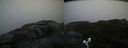 ./images/calvert/buxton2/20200901/buxton220200901_145003M.jpg