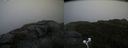 ./images/calvert/buxton2/20200901/buxton220200901_153503M.jpg