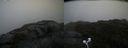 ./images/calvert/buxton2/20200901/buxton220200901_154003M.jpg