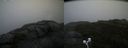 ./images/calvert/buxton2/20200901/buxton220200901_165002M.jpg