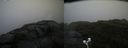 ./images/calvert/buxton2/20200901/buxton220200901_165502M.jpg