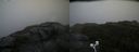 ./images/calvert/buxton2/20200901/buxton220200901_170502M.jpg