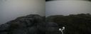 ./images/calvert/buxton2/20200901/buxton220200901_172003M.jpg