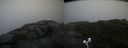 ./images/calvert/buxton2/20200901/buxton220200901_172503M.jpg