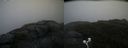 ./images/calvert/buxton2/20200901/buxton220200901_173503M.jpg