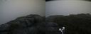 ./images/calvert/buxton2/20200901/buxton220200901_182003M.jpg