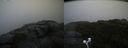 ./images/calvert/buxton2/20200901/buxton220200901_191002M.jpg
