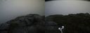 ./images/calvert/buxton2/20200901/buxton220200901_191502M.jpg