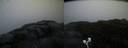 ./images/calvert/buxton2/20200901/buxton220200901_202003M.jpg
