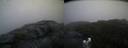 ./images/calvert/buxton2/20200903/buxton220200903_064002M.jpg